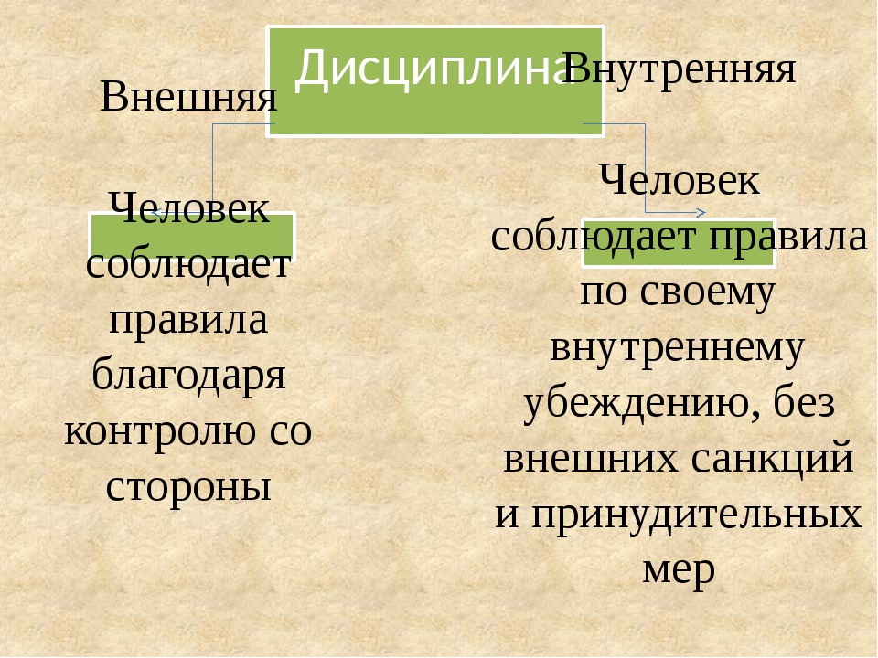 Внешняя дисциплина. Внешняя дисциплина примеры. Внешняя и внутренняя дисциплина таблица. Внешняя дисциплина средства поддержания дисциплины. Внешняя и внутренняя дисциплина контроль со стороны других.