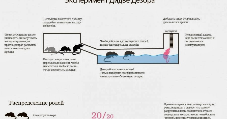 Эксперимент пещера разбойников презентация