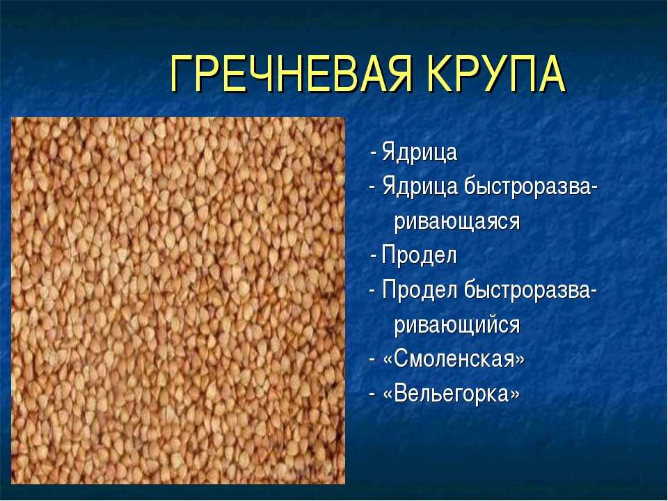 Виды гречки. Крупы из гречихи. Крупы из гречки. Виды гречневой крупы. Форма гречневой крупы.