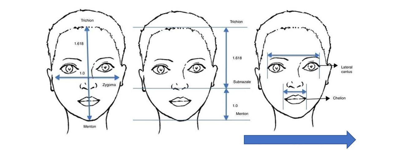 Как измерить пропорции лица на фото