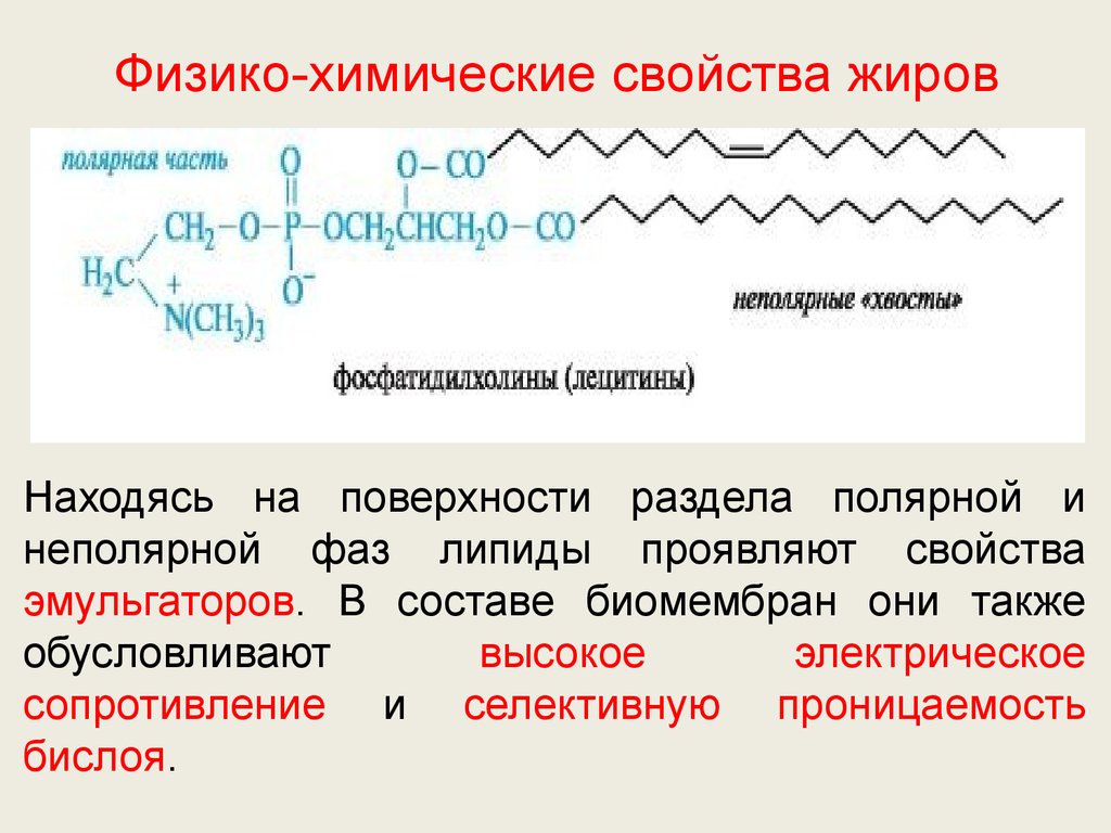 Липиды неполярные вещества. Физико-химические свойства жиров. Физико-химические свойства. Химические свойства липидов. Физико-химические свойства липидов.