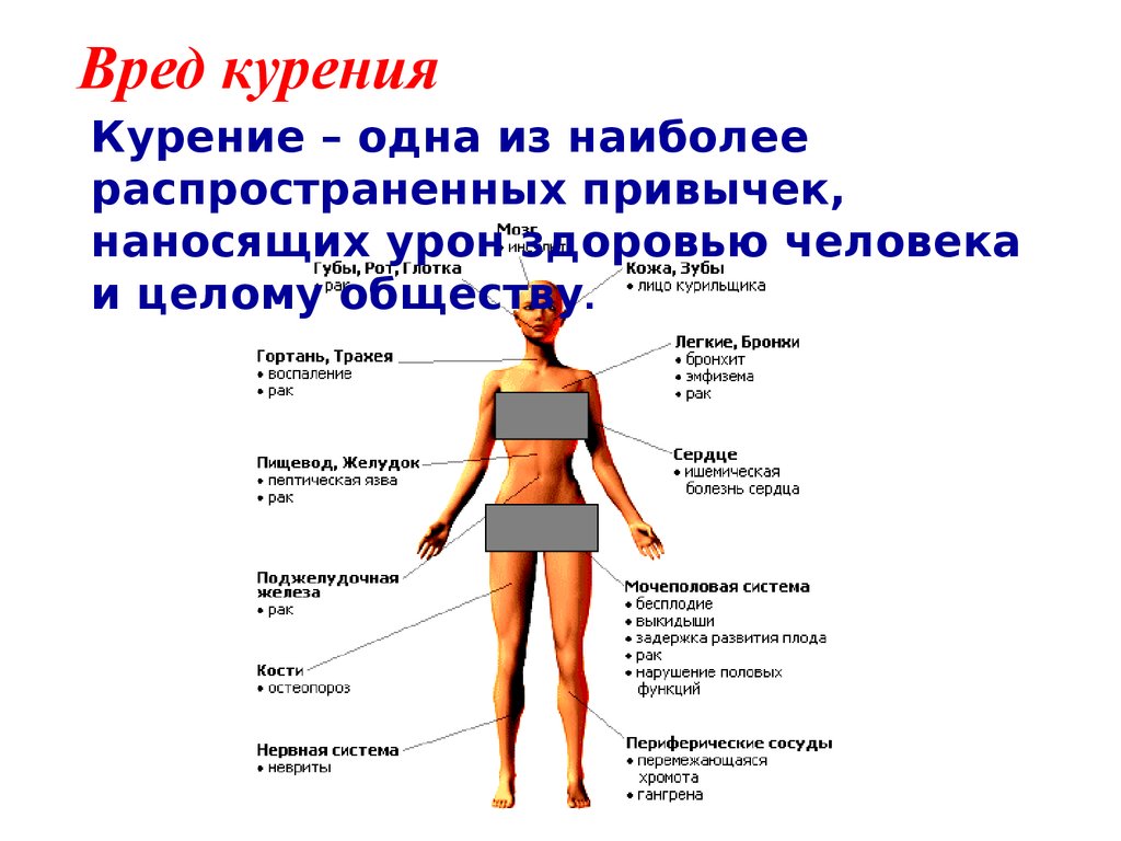 Сообщение о вреде. Презентация о вреде курения. Вред сигарет презентация. Презентация о вреде курения для человека.