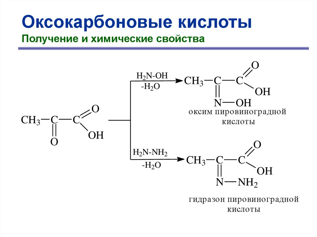 Пировиноградная кислота формула. Карбоновые кислоты и их производные. Образование пировиноградной кислоты.