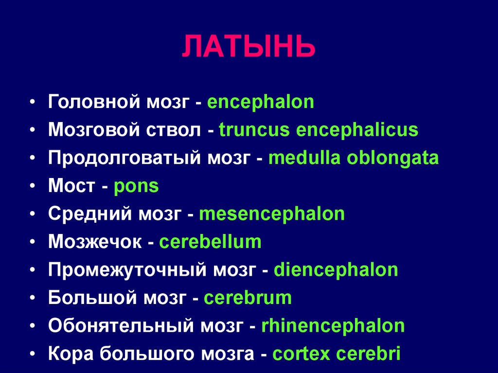 Образование латыни