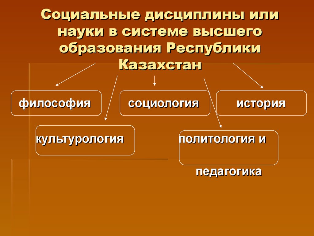 Социальная дисциплина. Дисциплины социальных наук. Социальные дисциплины это какие. Общественная дисциплина примеры. Примеры социальной дисциплины.