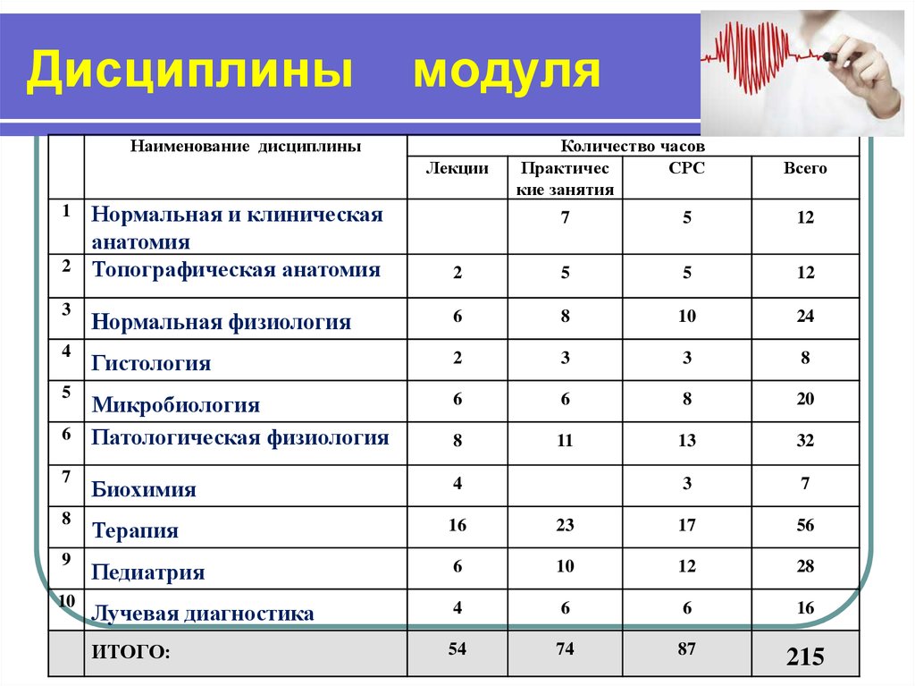 Название модулей. Наименование дисциплины модуля это. Наименование дисциплины это. Наименование дисциплины темы. Названия дисциплин в вузе.