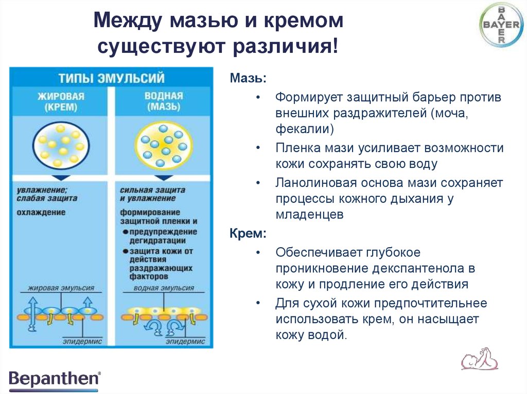 Чем отличается крем от мази