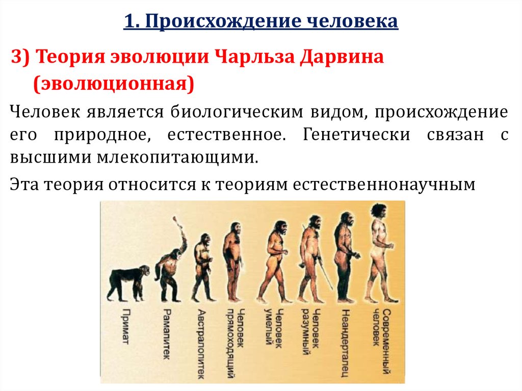 Презентация по биологии происхождение человека