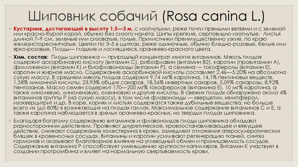 Шиповник сгущает или разжижает. Шиповник содержание биофлавоноидов. Содержание флавоноидов в вишне.