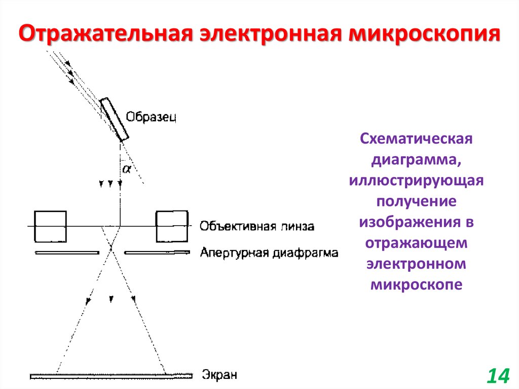 Электронная микроскопия принцип микроскопии