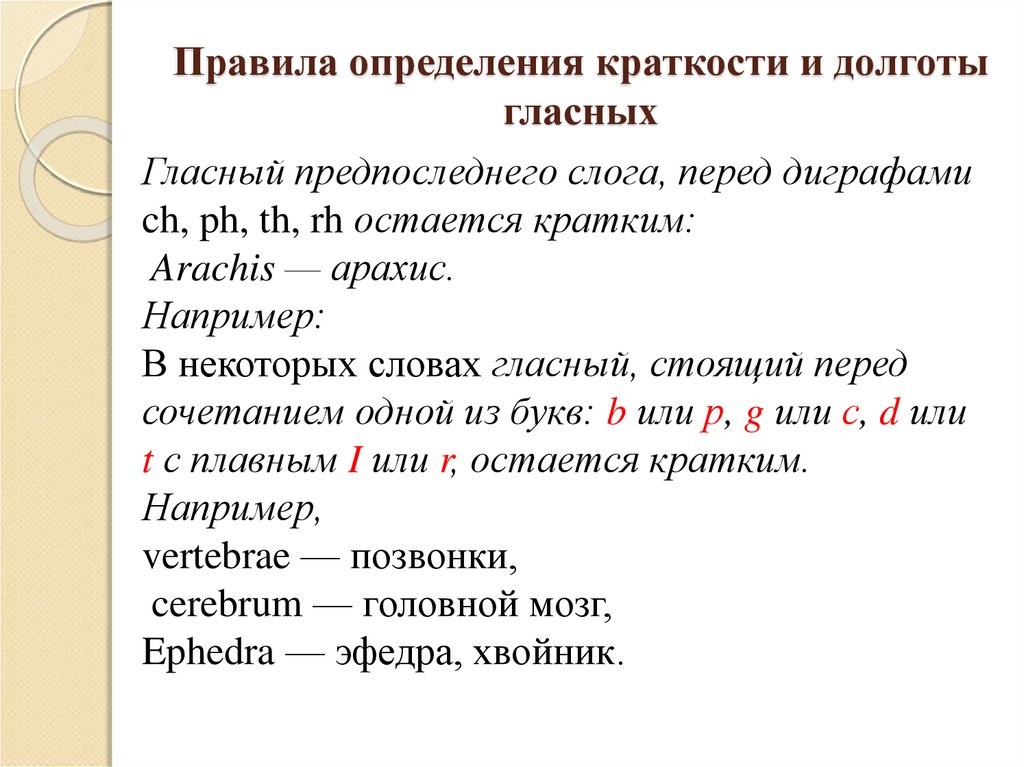 Определим ударение. Правила долготы и краткости в латинском языке. Позиционная долгота гласных в английском языке. Долгота и краткость звуков в английском. Краткость и долгота в английском языке.