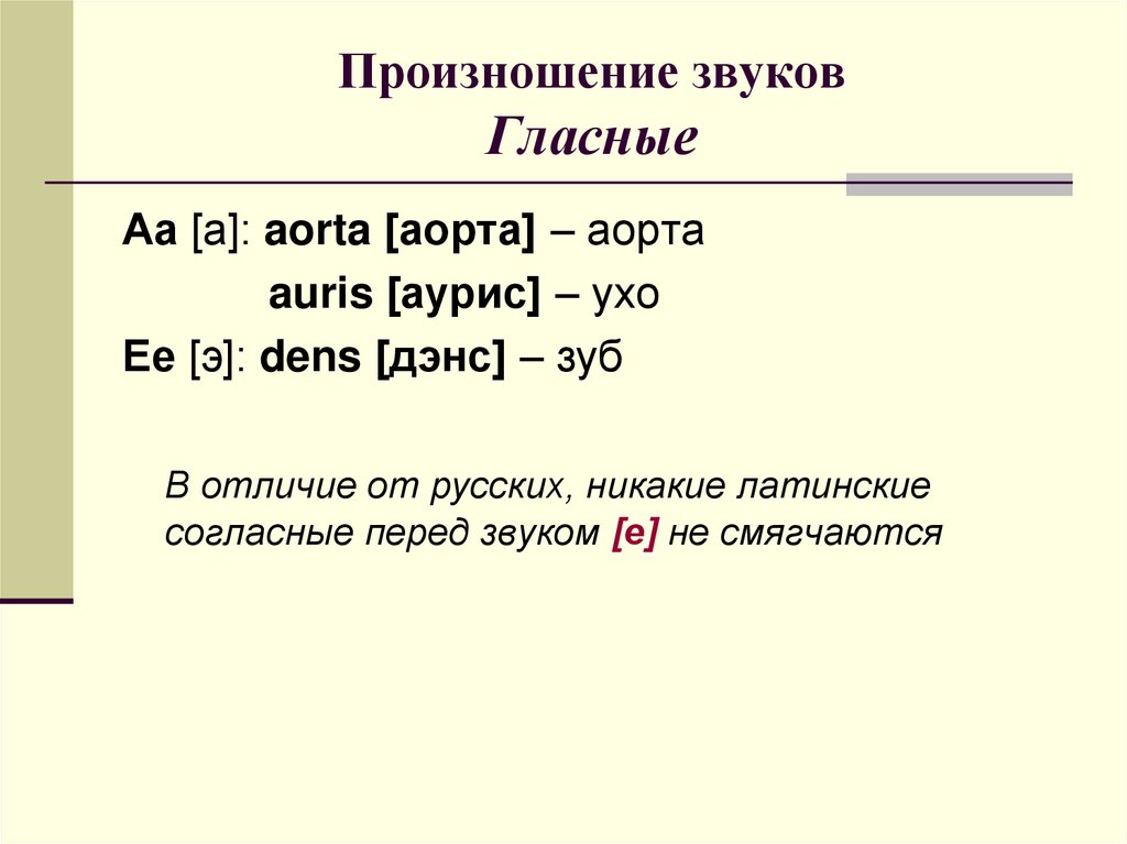 Правила чтения в латинском языке