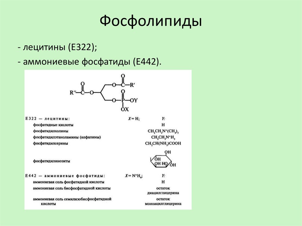 Фосфолипиды это. Схема реакции  образования фосфолипидов лецитина. Фосфолипиды кефалины и лецитины. Фосфолипиды локализация в организме. Фосфатидилхолин роль в организме.