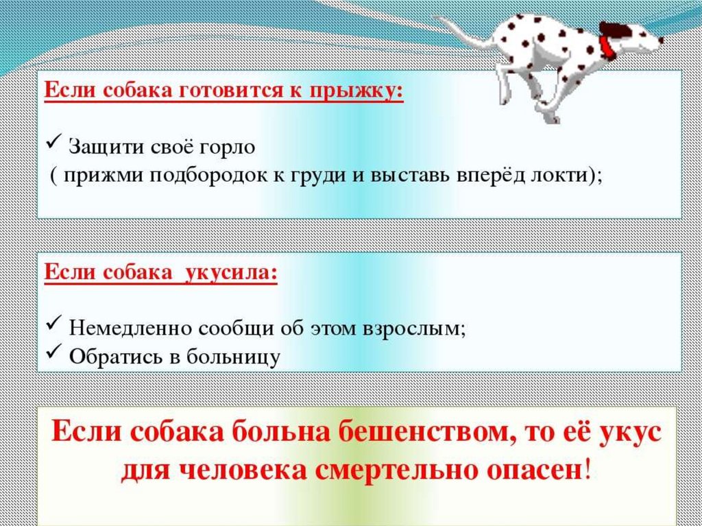 Бывает кусачий. ОБЖ собаки. Собака бывает кусачей. Презентация для детей «собака бывает кусачей». ОБЖ 5 класс собака бывает кусачей.