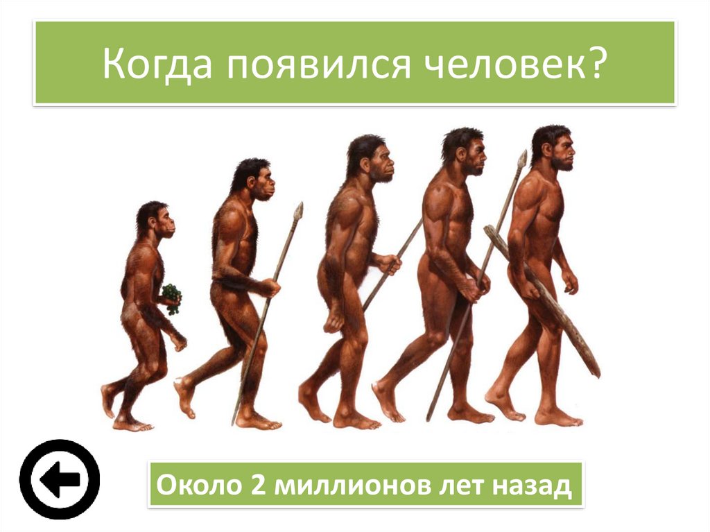 Сколько лет назад появился человек на земле. Когда появился человек. Когда появилось человечество. Откуда появились люди. Когда зародился человек.