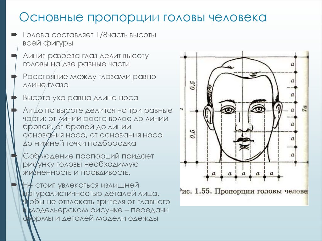 Проект портрет человека