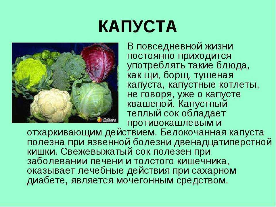 Болезни белокочанной капусты описание с фотографиями
