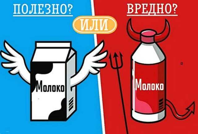 Вредно ли молоко. Вредное молоко. Молоко полезно для здоровья. Молоко польза или вред. Молоко полезно или вредно.