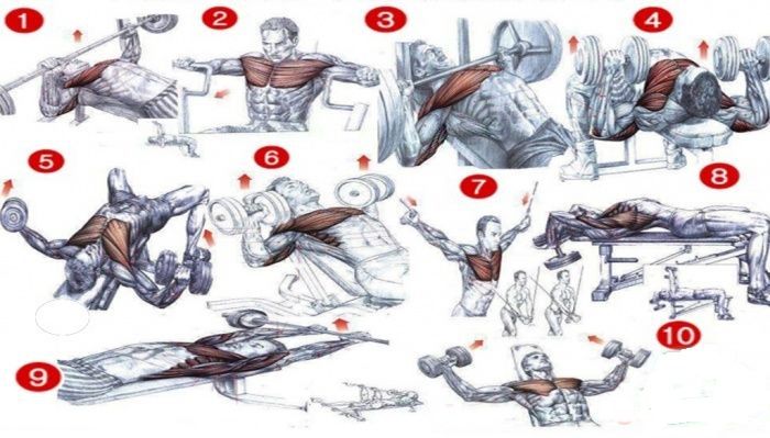 Упражнения на грудные мышцы в тренажерном зале. Упражнения на грудную группу мышц. Плакат мышцы тренировка. Тренировка грудных мышц в тренажерном зале для мужчин. Упражнения для пресса и грудных мышц.