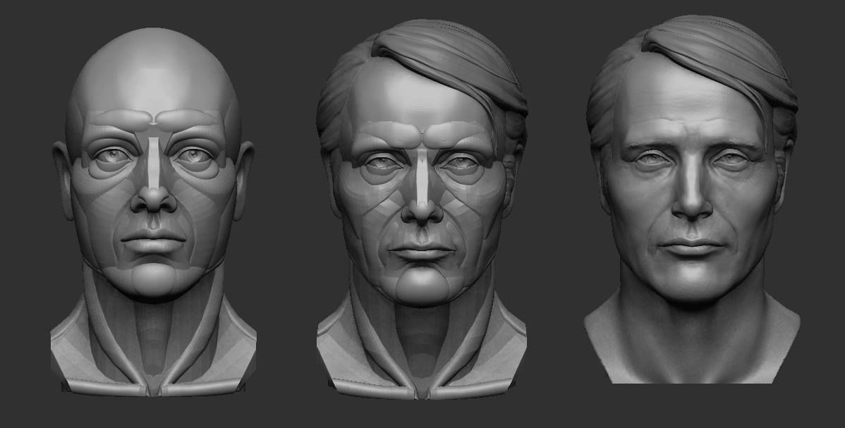 Фигура лица человека. Planar head 3d модель. Обрубовка в Zbrush. Dionysius Sculpt 3в. Модель головы.