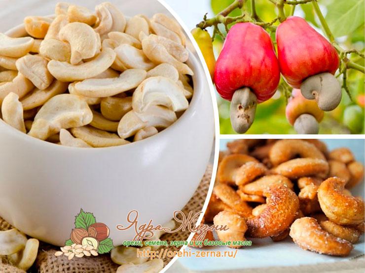 Орехи кешью польза и вред для женщин. Орехи кешью полезные. Кешью витамины и минералы. Чем полезен кешью. Орешки кешью польза.