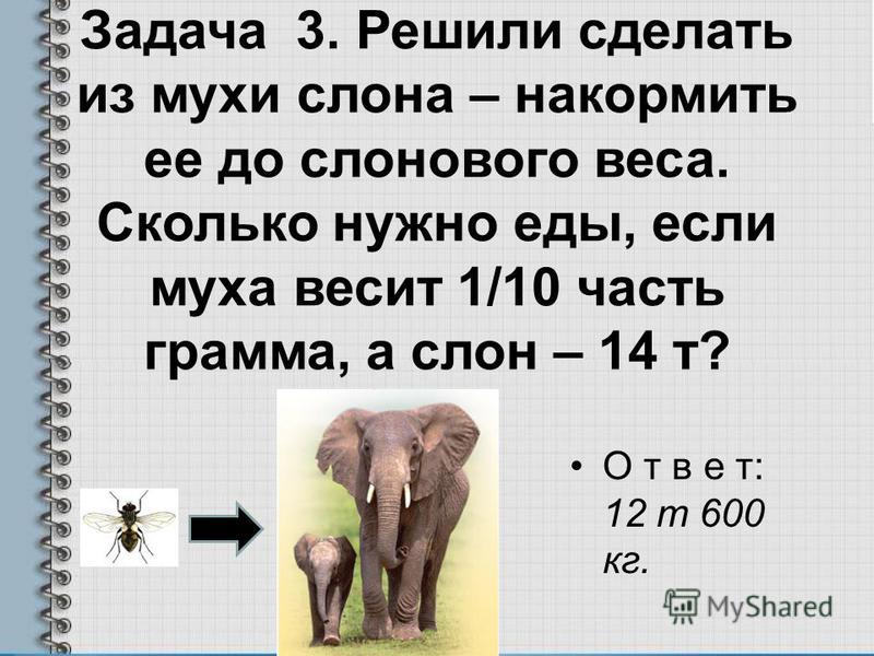 Слон сколько кг. Сколько весит слон. Сколько весит маленький слон. Сколько весит самый большой слон. Сколько весит слон взрослый.