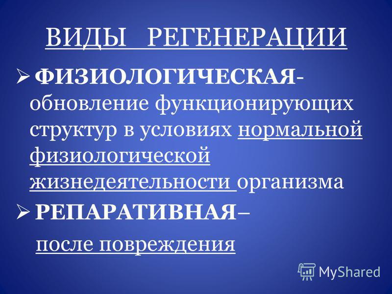 Регенерация с частичным замещением ампутированной структуры. Виды регенерации. Понятие о регенерации. Типы физиологической регенерации. Классификация видов регенерации.