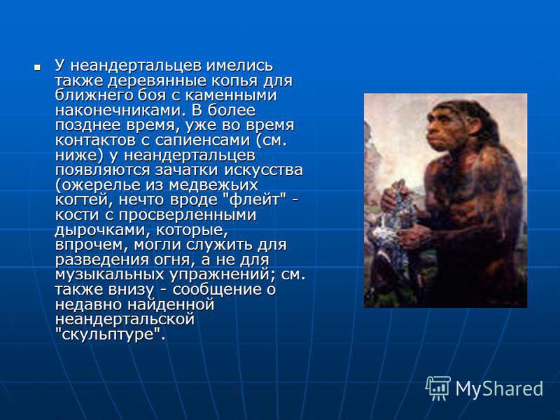 Прогрессивные черты неандертальцев. Образ жизни неандертальцев кратко. Иммунная система неандертальцев.