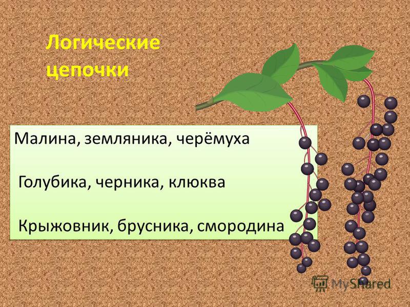 Для чего полезен крыжовник. Художественные детали крыжовник. Худ детали в рассказе крыжовник. Черемуха витамины.