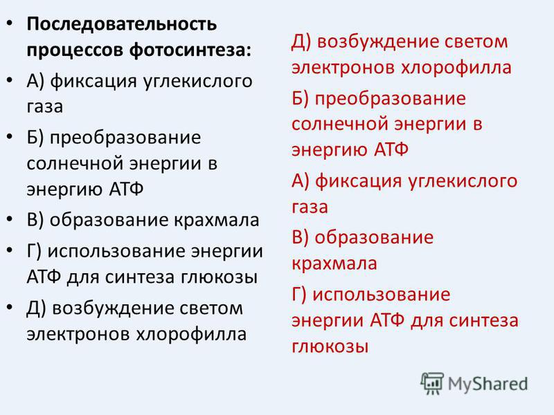 Установите последовательность процессов происходящих. Последовательные процессы при фотосинтезе. Последовательность процессов фотосинтеза. Последовательность процессов при фотосинтезе. Фотосинтез порядок процессов.