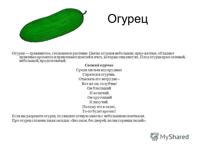 Огурец состав