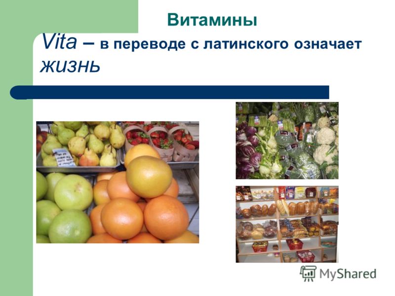 Витамины на латинском. Витамины в переводе с латинского означает. Как переводится витамин с латинского. Как переводится витамин.