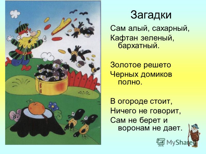 Мир полного загадок. Загадки про решето. Загадки с ответом решето. Загадка золотое решето черных домиков полно. Загадка про решето для детей.