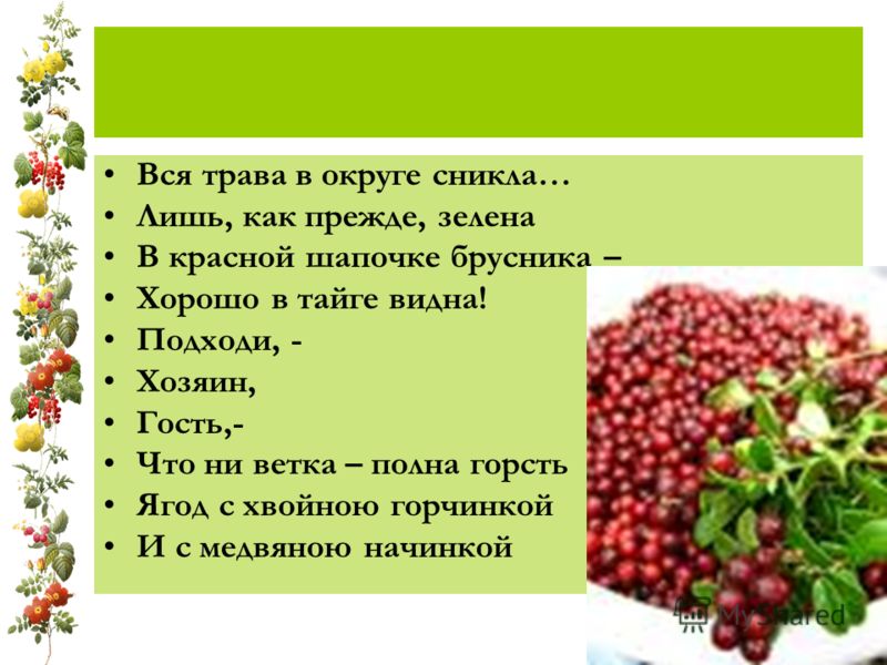 Стали брусника дни. Брусника презентация. Ягода брусника описание. Стихи про бруснику ягоду. Брусника интересные факты для детей.