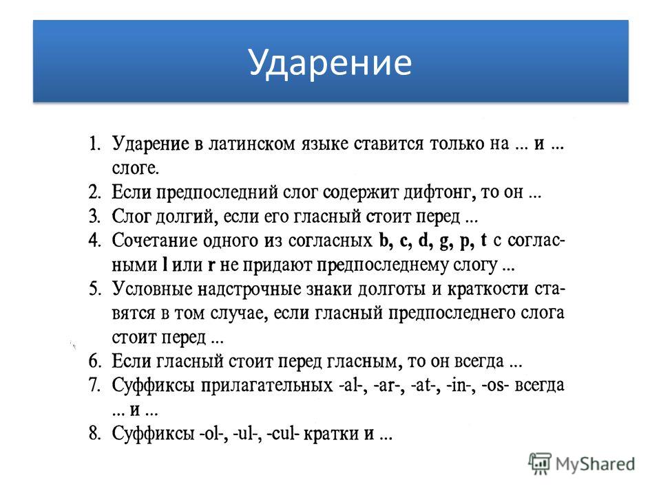 Латинский кратко. Ударение в латыни. Правила постановки ударения в латинском языке. Схема постановки ударения в латинском языке. Правила постановки ударения в латыни.