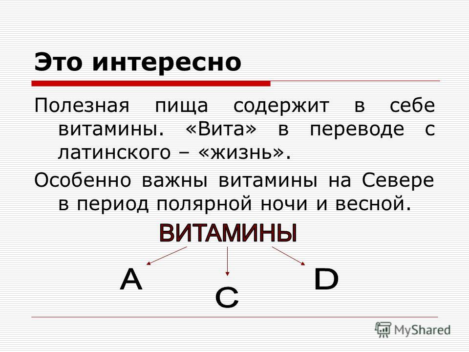 Vita перевод с латинского