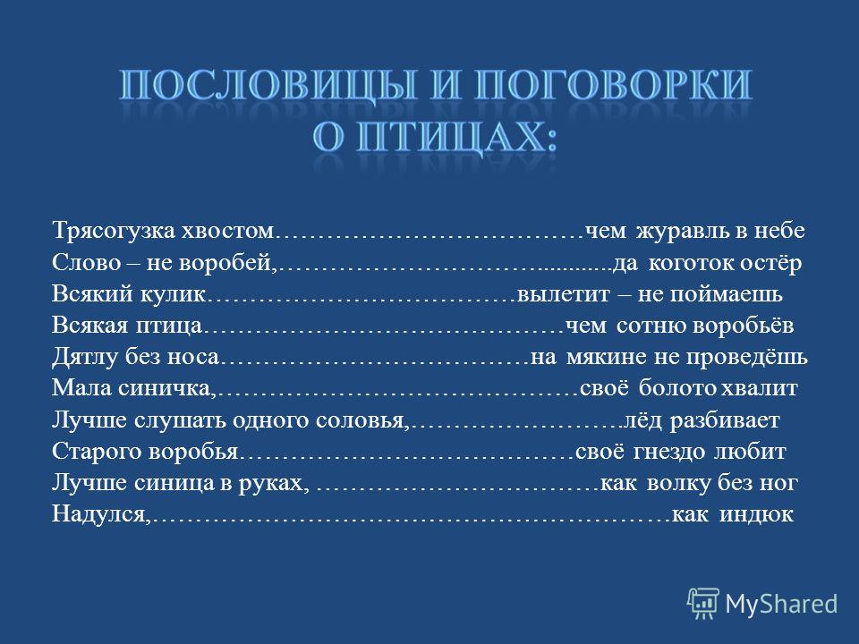 Пословицы про 4. Пословицы о птицах. Пословицы и поговорки о птицах. Поговорки про птиц. Поговорки о животных.