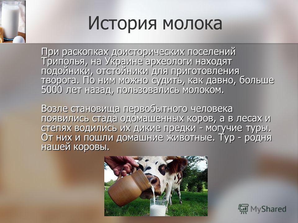 Презентация о молоке