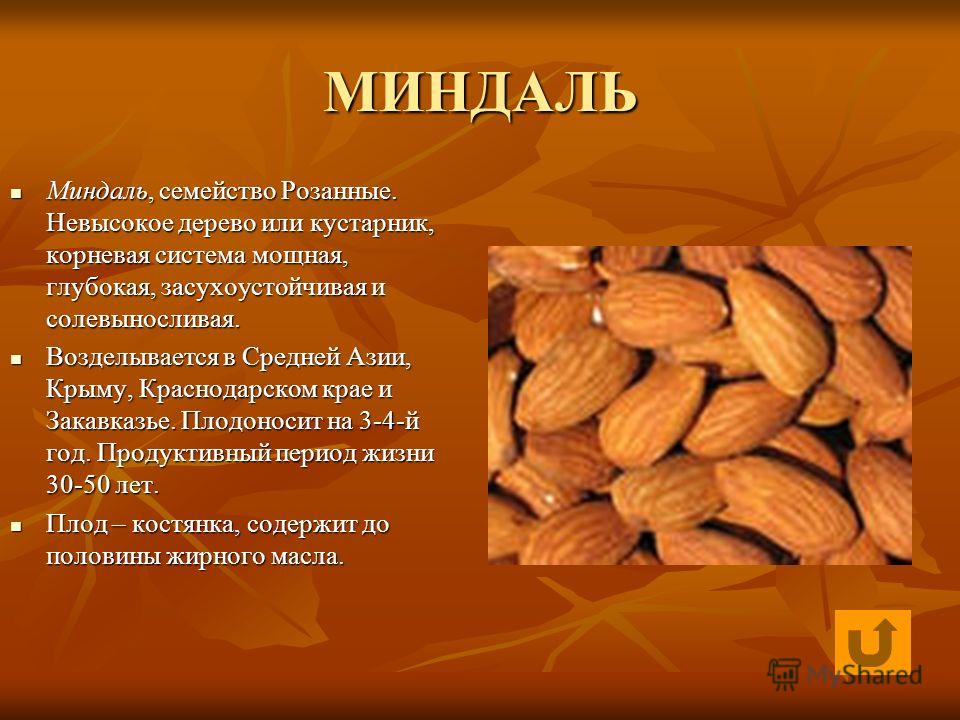 Миндаль слово