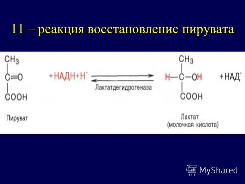 Пировиноградная кислота формула. Реакция восстановления пировиноградной кислоты. Восстановление пирувата.