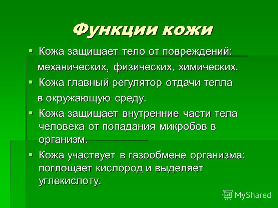 Свойства кожного покрова человека