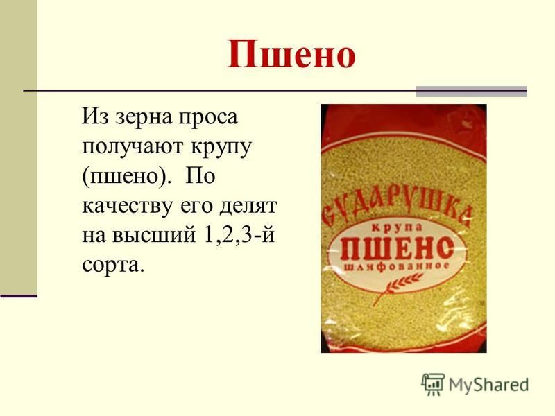 Из чего делают пшенную крупу