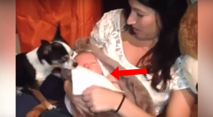 Girl Breastfeeding Puppy