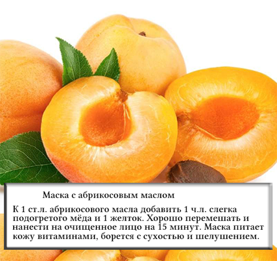 Абрикосовое масло польза. Абрикосовое масло полезность. Абрикосовое масло. Масло абрикоса для лица. Эфирное масло абрикоса.