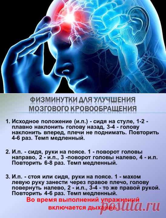 Улучшение кровообращения головного. Улучшает мозговое кровообращение. Для улучшения мозгового кровообращения. Упражнения для мозгового кровообращения. Упражнения для циркуляции крови в головном мозге.