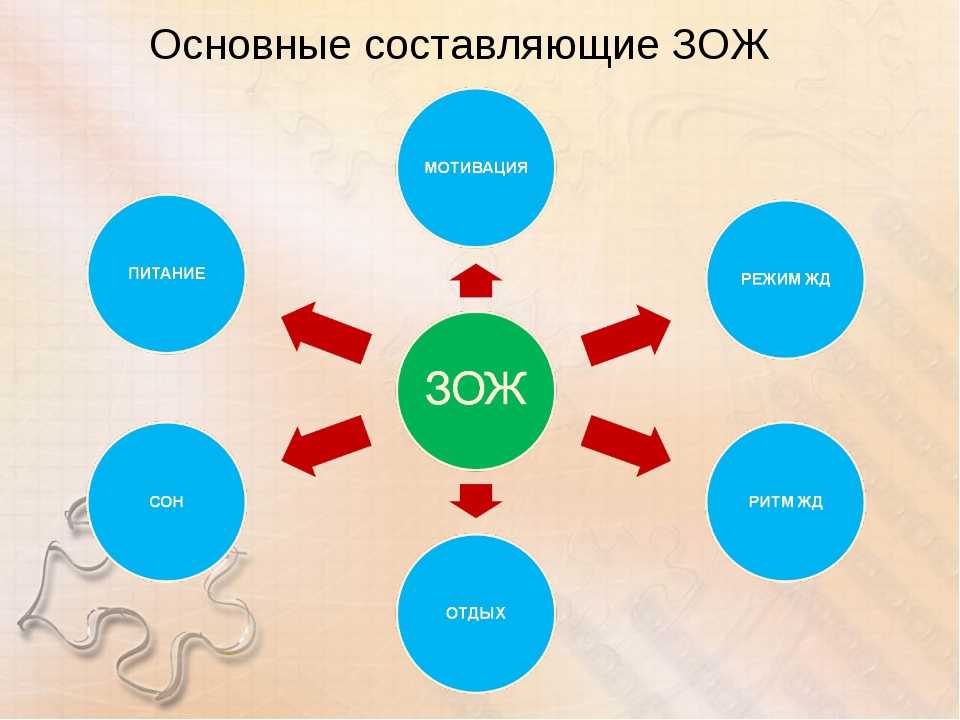 Составляющие здорового образа. Составляющие здорового образа жизни таблица. Составляющие ЗОЖ. Составляющие здорового образа жизни. Основные составляющие ЗОЖ.