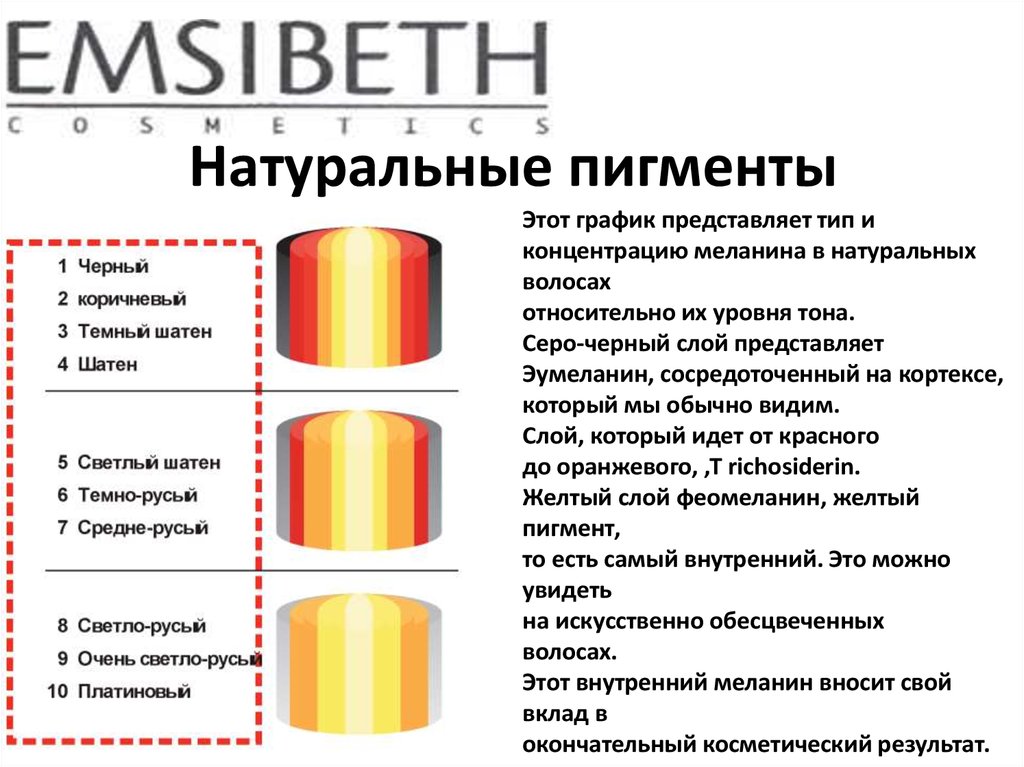 Содержит пигмент. Меланин и эумеланин. Пигменты меланина в волосах схема. Строение волоса ЭУ-меламин и Фео-меланин. Эумеланин и феомеланин пигмент волоса.