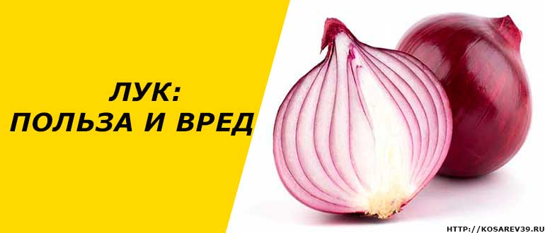 Лук вред. Польза лука репчатого для организма. Лук репчатый польза и вред для здоровья. Полезность репчатого лука для организма человека. Вред репчатого лука.