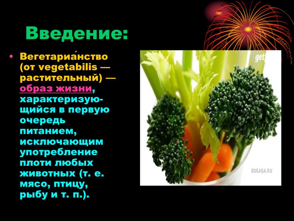 Вегетарианство за и против презентация по биологии