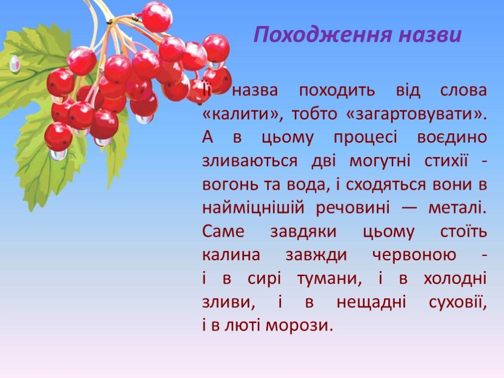 Слова из слова калина. Калина загадка. Калина презентация для детей. Стихи про калину. Рассказ о калине.